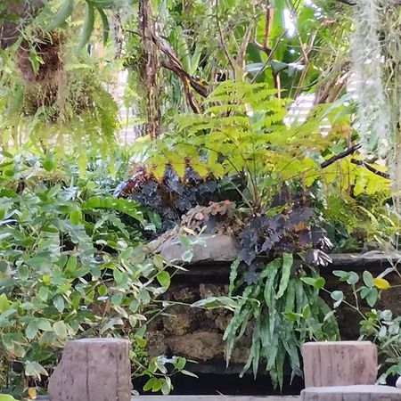 Sareeviengping Hotel Chiangmai Chiang Mai Ngoại thất bức ảnh