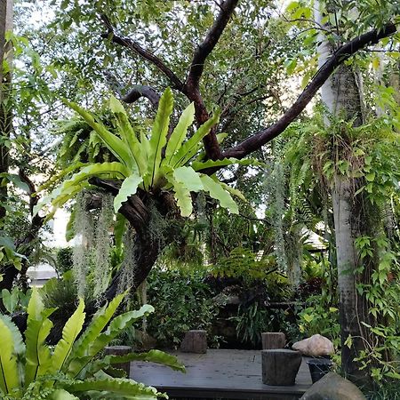Sareeviengping Hotel Chiangmai Chiang Mai Ngoại thất bức ảnh