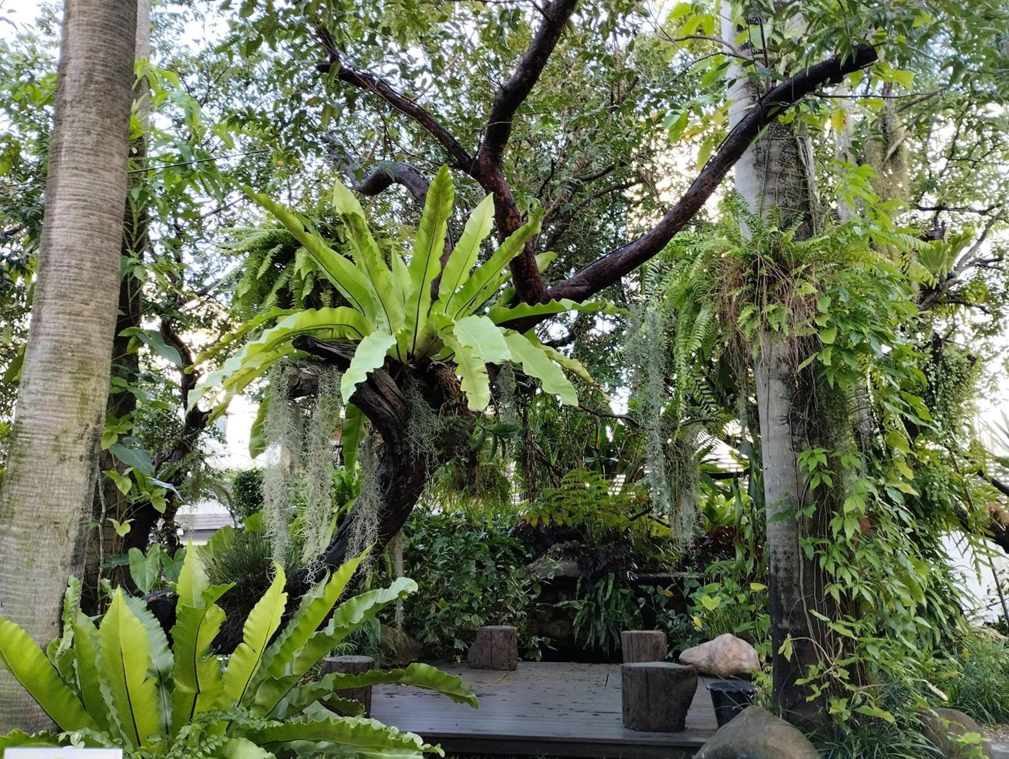 Sareeviengping Hotel Chiangmai Chiang Mai Ngoại thất bức ảnh
